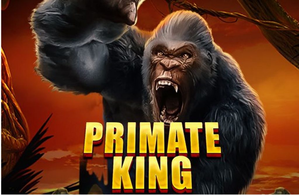 La machine à sous Primate King